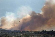 Logran controlar devastador incendio forestal en noreste de España