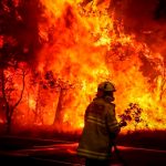 incendios forestales