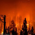 Estado de emergencia en California por incendios forestales incendio forestal