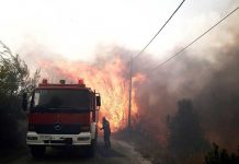 Grecia pide ayuda a Europa para sofocar incendio en la isla de Eubea europa