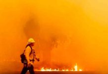 estados unidos, incendio, asesinato, policia,