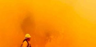 estados unidos, incendio, asesinato, policia,