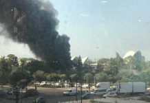 España: Evacúan la torre del Oceanogràfic de Valencia por un incendio