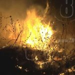 Cerro La Coquimba en Cordillera Dipilto es afectado por incendio forestal nicaragua
