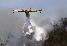 España lucha contra 50 incendios forestales con la ayuda del Ejército