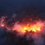 Los incendios en Bolivia arrasan con 1,5 millones de hectáreas bolivia