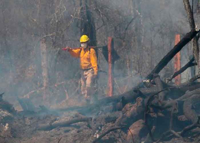 incendios-bolivia bolivia