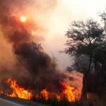 Incendios en Bolivia arrasan más de 400.000 hectáreas de bosques bolivia