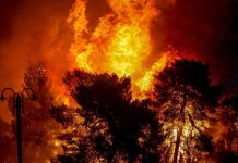 4.400 hectáreas de bosques son consumidos por incendios en Francia europa