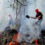 77 incendios forestales afectan a casi 25.000 hectáreas en México mexico