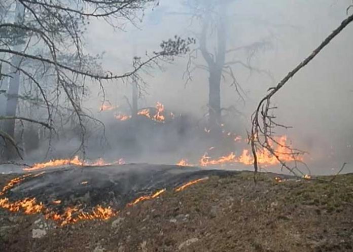 incendios-rusia rusia