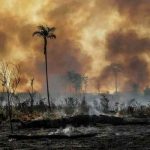 Incendios en Amazonía provocan cientos de hospitalizaciones en Brasil brasil