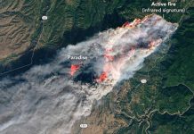 Incendios mortales en California fueron causados por líneas eléctricas incendios