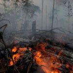 Gobernador brasileño decreta estado de emergencia por los incendios brasil