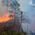 Más de 10 mil hectáreas han sido arrasadas por los incendios en Honduras 10 mil hectareas