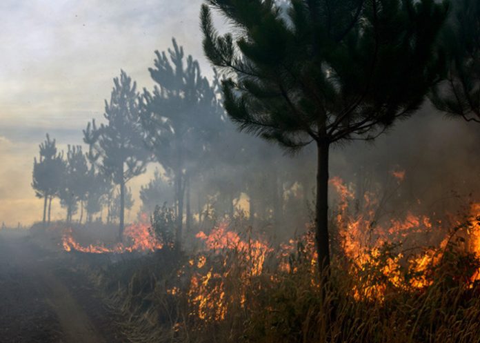 incendios_chile_ alerta