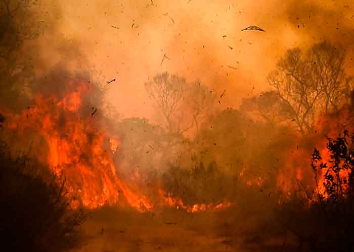 incendis-pantanal brasil