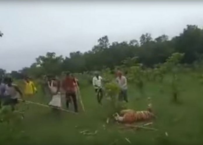 india-_xvntYIH india