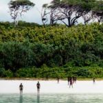 turista estado unidense