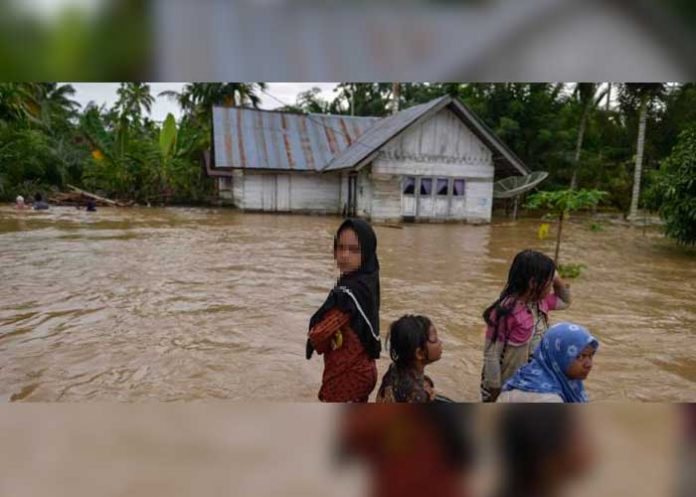 inn_f4C35NV indonesia