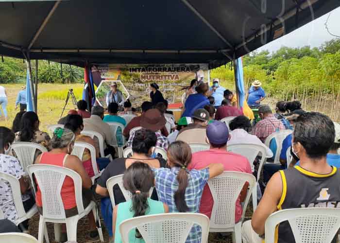 inta-semilla-001 nicaragua