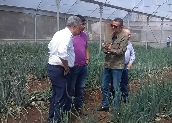 invernadero-carazo-02 nicaragua