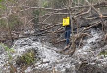 Incendios forestales en las últimas horas en la Isla de Ometepe nicaragua