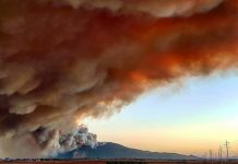 Incendio forestal se traga bosques enteros en Italia italia