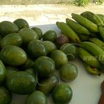 Productores de Jalapa ofertan sus productos a precios accesibles jalapa