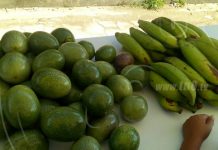 Productores de Jalapa ofertan sus productos a precios accesibles jalapa