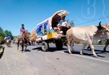 Experiencia de fe: Devotos de Somotillo inician peregrinación hacia Santuario de El Sauce nicaragua