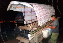 Devotos de Somotillo se preparan para iniciar peregrinación hacia El Sauce nicaragua