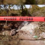 México: Encuentran fosas clandestinas en Jalisco con restos de 19 cuerpos mexico