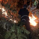 Instituciones de Gobierno sofocan voraz incendio forestal en Jalapa nicaragua