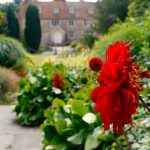 Peldaño del jardín de una británica resulta ser una antigua placa romana ciencia