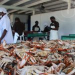 Impulso a la economía con empresa procesadora de jaiba en Bluefields nicaragua