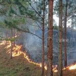 Incendios forestales afectan a Jalapa nicaragua
