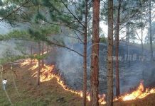 Incendios forestales afectan a Jalapa nicaragua