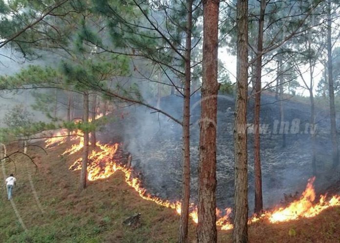 jal1_fwBZGVa nicaragua