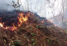 Bomberos sofocan incendio forestal en bosques de Jalapa nicaragua