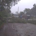 Daños parciales en Jalapa producto de vientos y lluvia del huracán Iota nicaragua