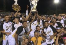 Leones dan a conocer sus refuerzos para Serie Latinoamericana serie latinoamericana