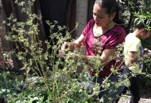 MEFCCA impulsa el Patio Saludable en familias de Boaco nicaragua