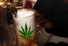 La cerveza elaborada con marihuana ya es una realidad