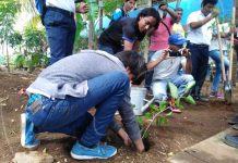 Jornada de limpieza y reforestación en Instituto Miguel de Cervantes nicaragua