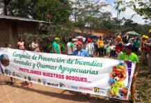 Lanzarán Cruzada Municipal de Reforestación en Río Blanco nicaragua