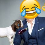 Actor de Televisa revela que recibió sexo oral de una cabra mexico