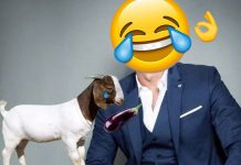 Actor de Televisa revela que recibió sexo oral de una cabra mexico
