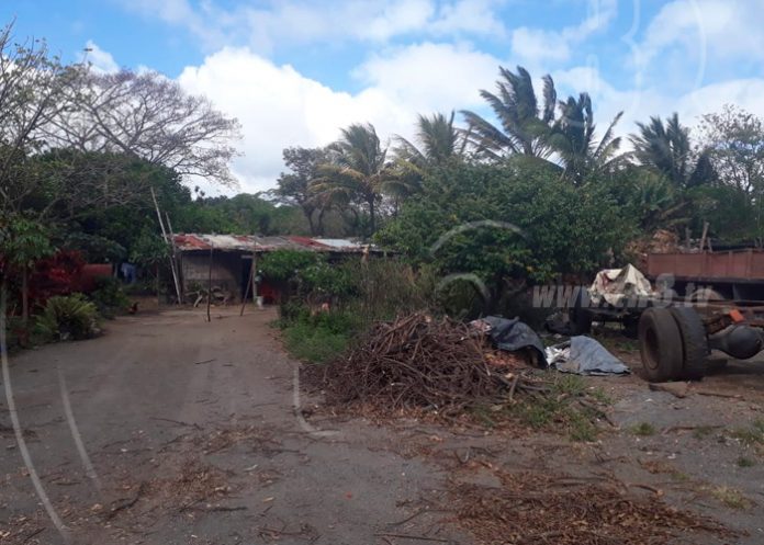 k1_N8Lhnzt san marcos