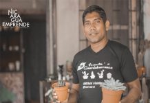 Kactu´s Guardabarranco: Cultive sus propios cactus desde semilla